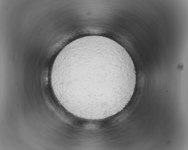 X0000111250358200907231558