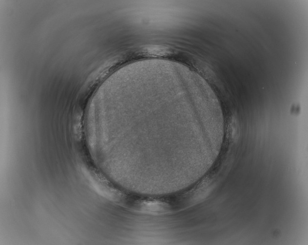 X0000111250360200907231558