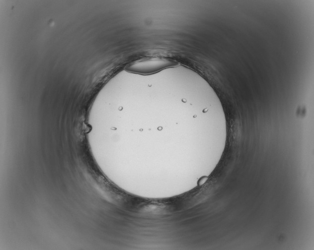 X0000111250364200907231558