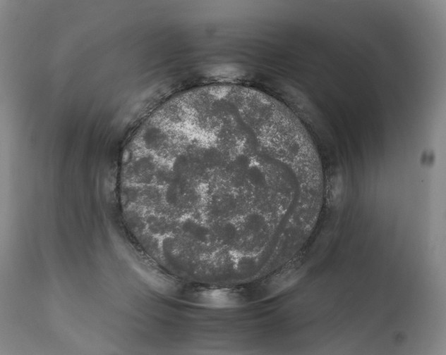 X0000111250365200907231558