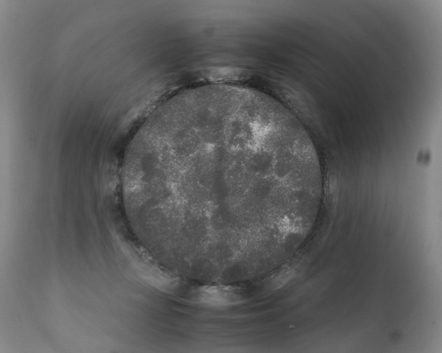 X0000111250367200907231558