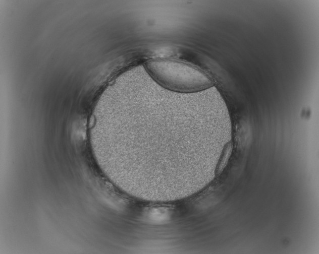 X0000111250368200907231558