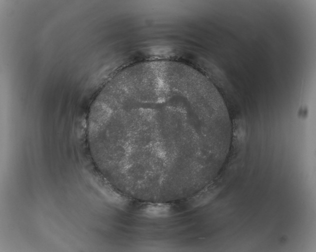 X0000111250369200907231558