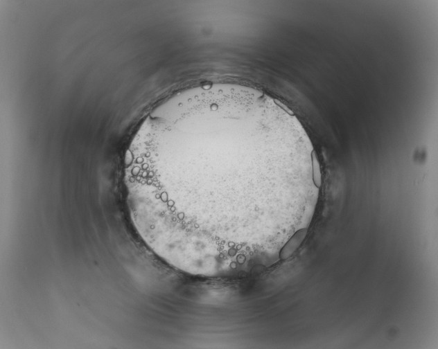 X0000111250370200907231558