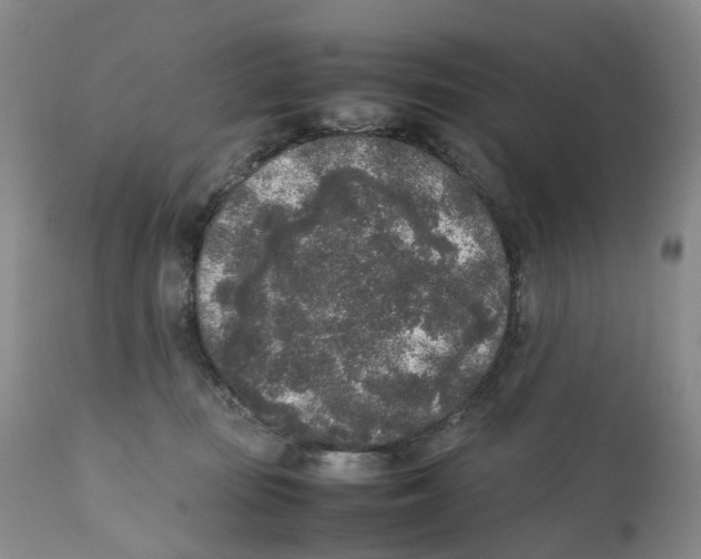 X0000111250371200907231558