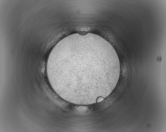 X0000111250374200907231559