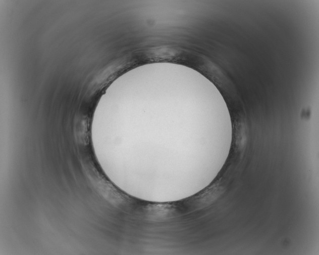 X0000111250378200907231559