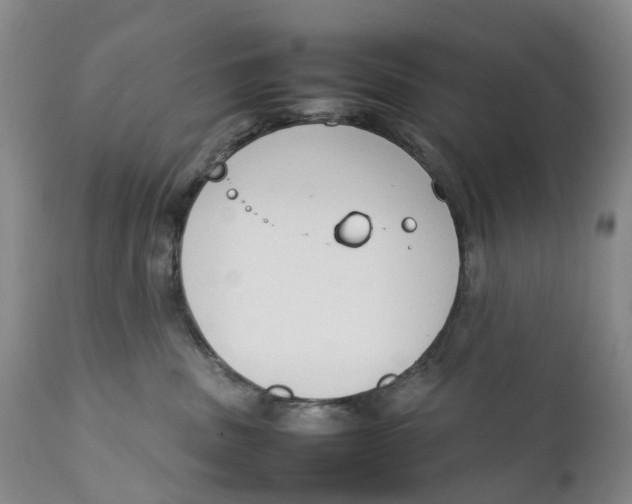 X0000111250379200907231559