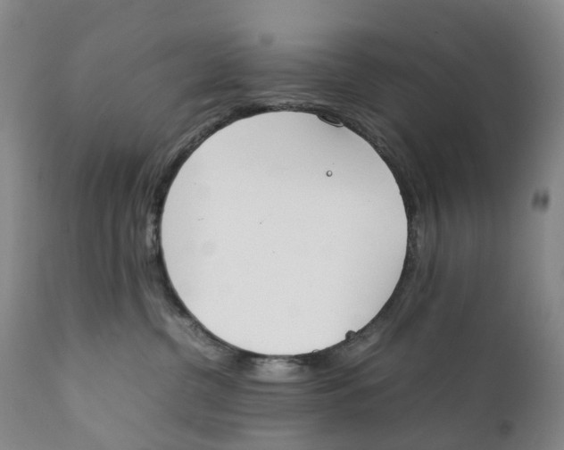 X0000111250380200907231559