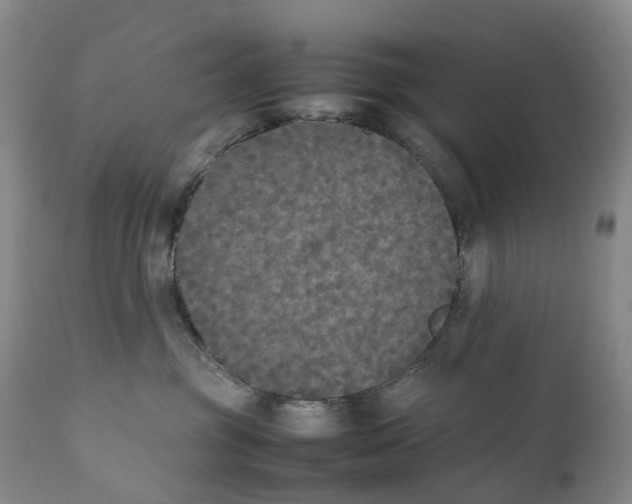 X0000111250381200907231559