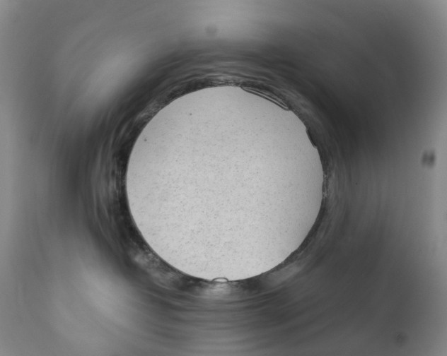 X0000111250382200907231559