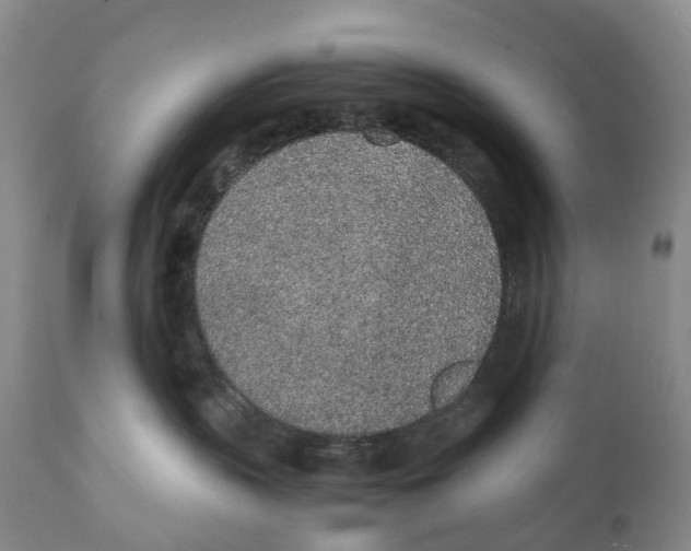 X0000111250383200907231559