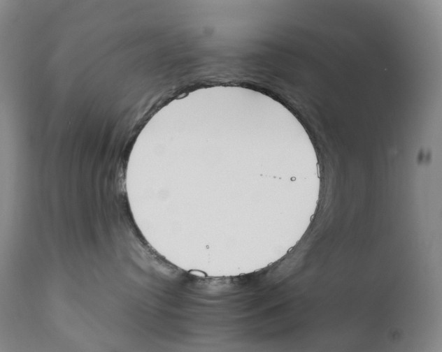 X0000111250384200907231559