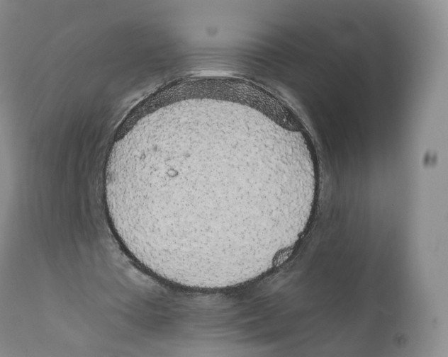 X0000111250385200907231558