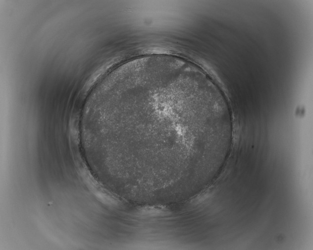 X0000111250386200907231558