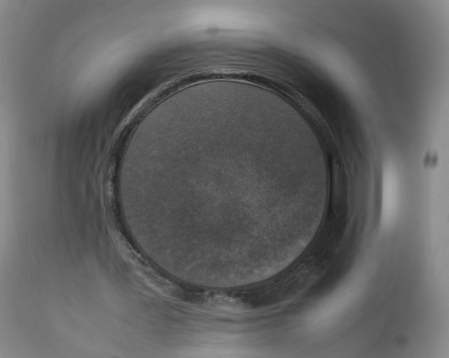 X0000111250387200907231558