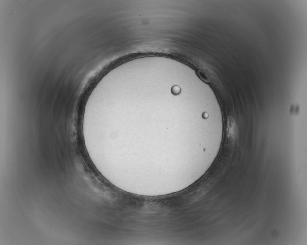 X0000111250388200907231558