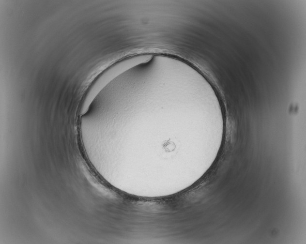 X0000111250389200907231558