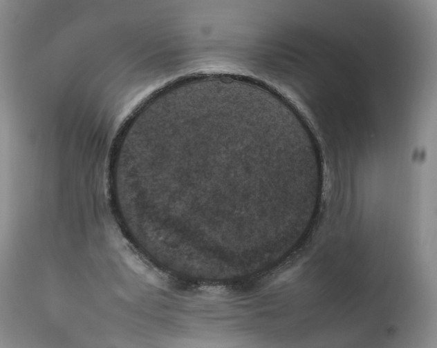 X0000111250391200907231558