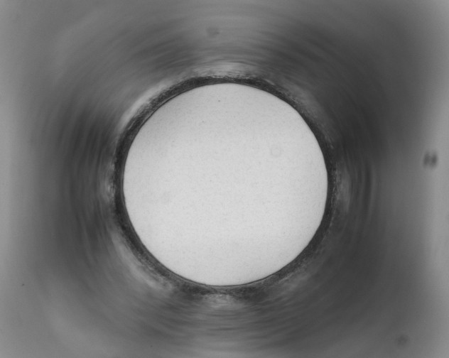 X0000111250392200907231558