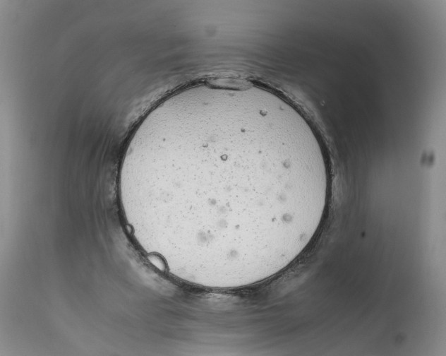 X0000111250393200907231558