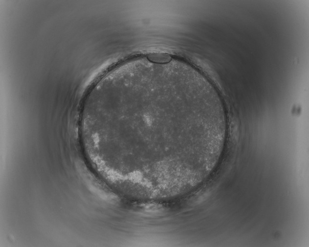 X0000111250395200907231558