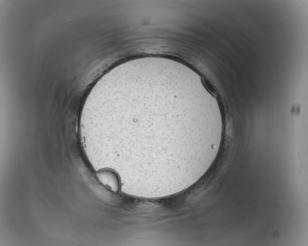 X0000111250397200907231558