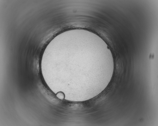 X0000111250398200907231558