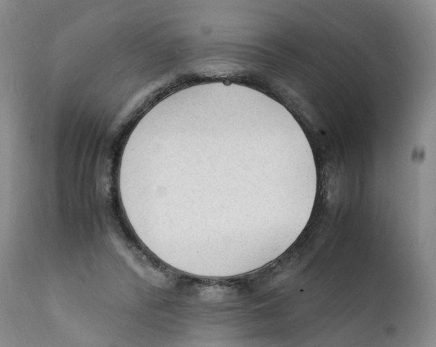 X0000111250400200907231558