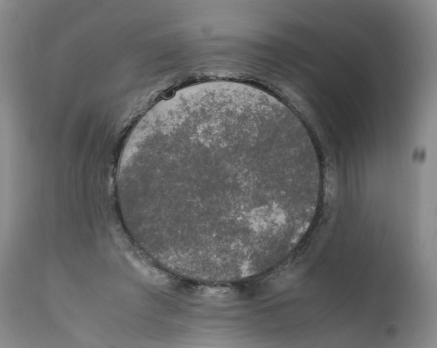 X0000111250401200907231558