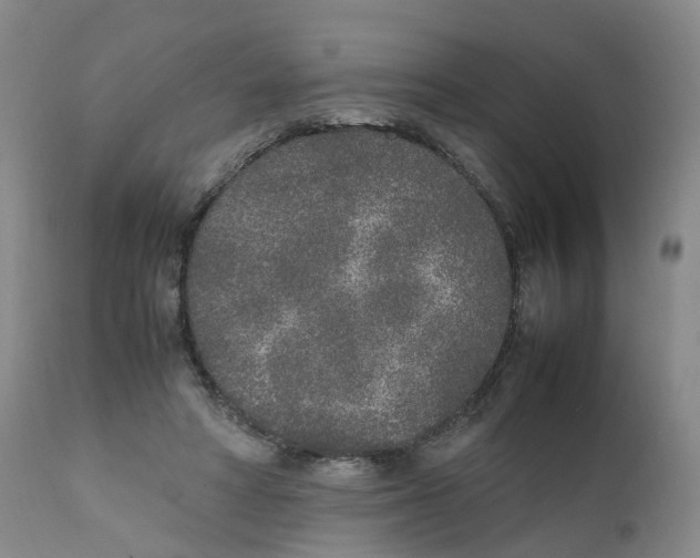 X0000111250402200907231558