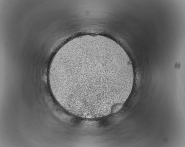 X0000111250403200907231558