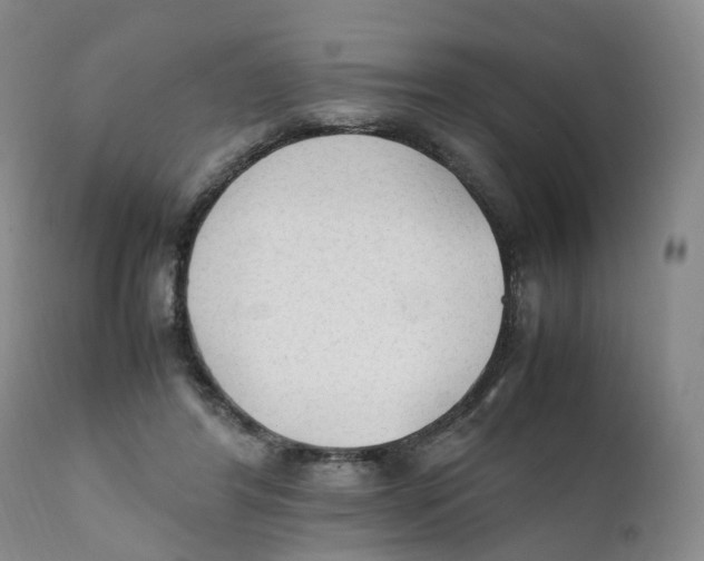 X0000111250404200907231558