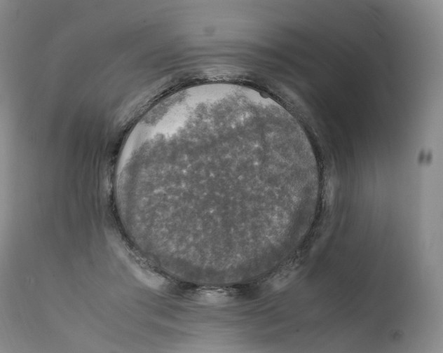 X0000111250405200907231558