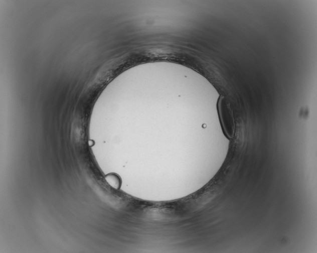 X0000111250408200907231558