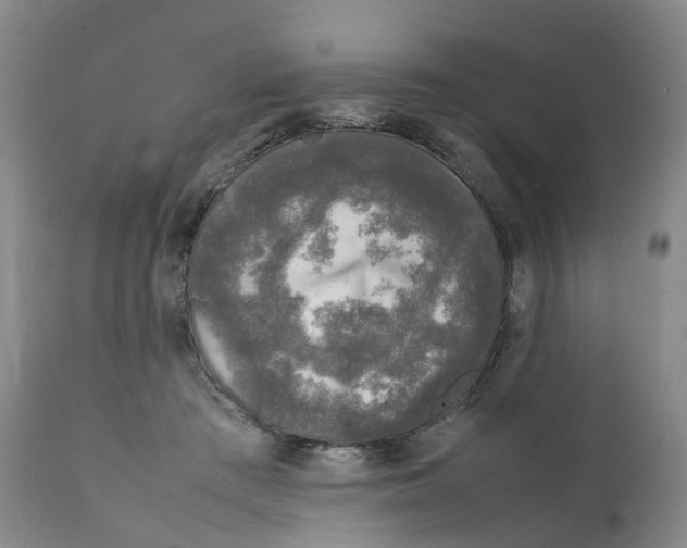 X0000111250409200907231558