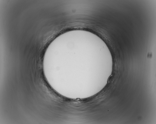 X0000111250411200907231558