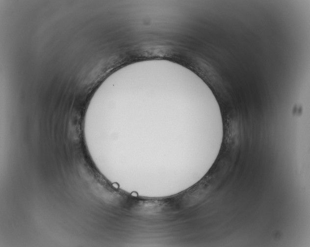 X0000111250414200907231558