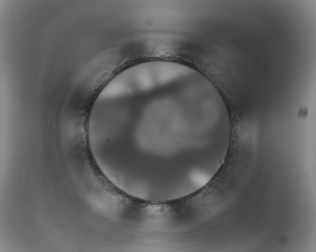 X0000111250415200907231558