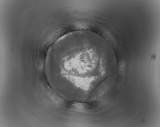 X0000111250417200907231558