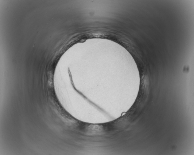 X0000111250421200907231557