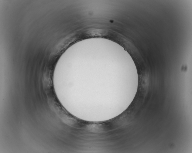 X0000111250422200907231557