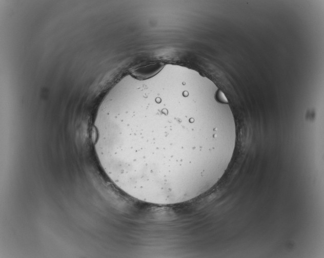 X0000111250424200907231557