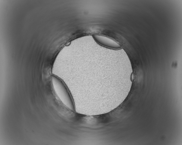 X0000111250425200907231557