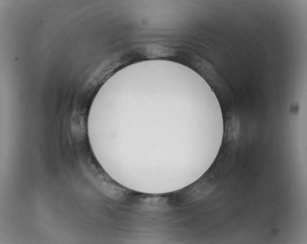 X0000111250426200907231557