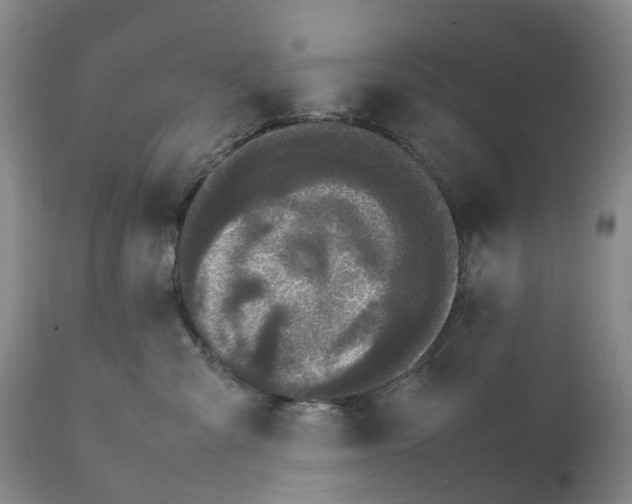 X0000111250427200907231557