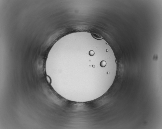 X0000111250428200907231557