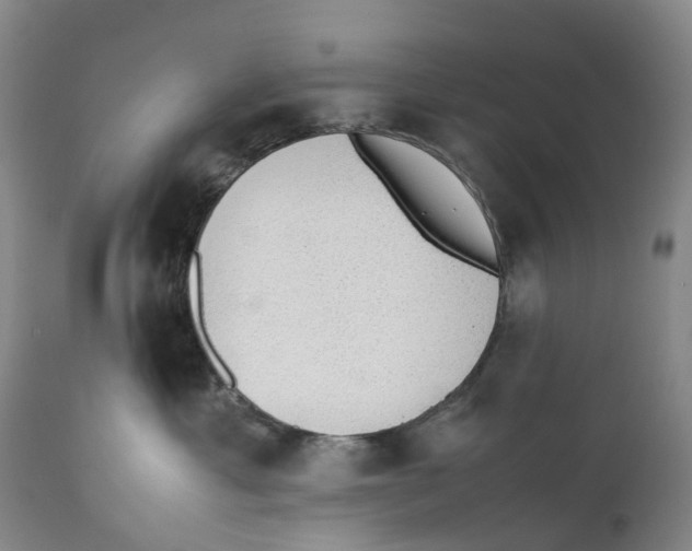 X0000111250429200907231557