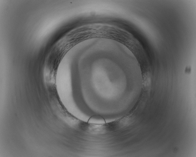 X0000111250431200907231557