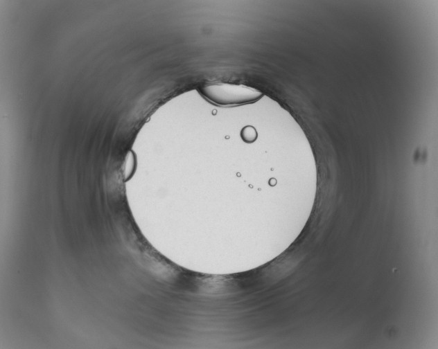 X0000111250432200907231557